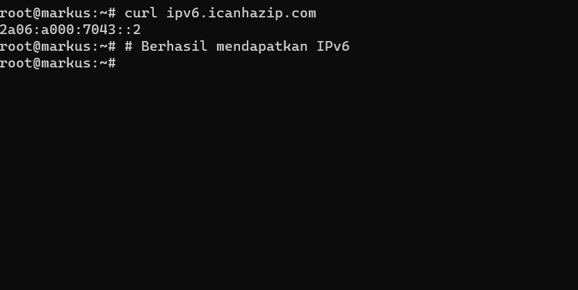 Tes Koneksi IPv6