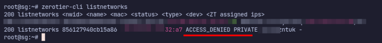Access Denied pada List network zerotier