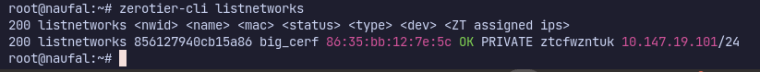 Status OK pada Zerotier ListNetworks