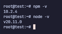 hasil cek versi nodejs dan npm