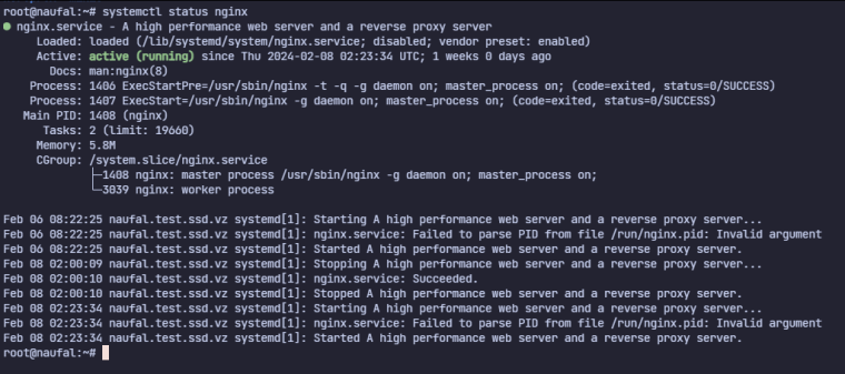service nginx pada minio