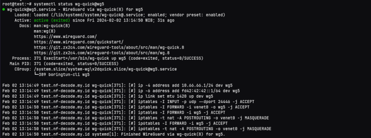 service wg-quick dengan boringtun pada wireguard berhasil berjalan normal pada ubuntu nat vps.
